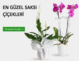 Bayraklı salon çiçekleri