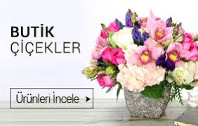 Bayraklı Adliye çiçek   saksı çiçekleri