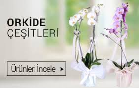 İzmir Bayraklı Adliye çiçekçiler butik çiçekler